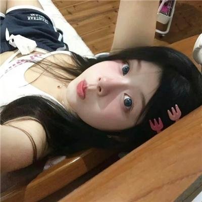 光荣之路上的狗